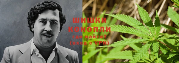 спайс Богородск