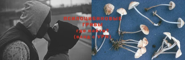 каннабис Богородицк