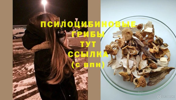 каннабис Богородицк